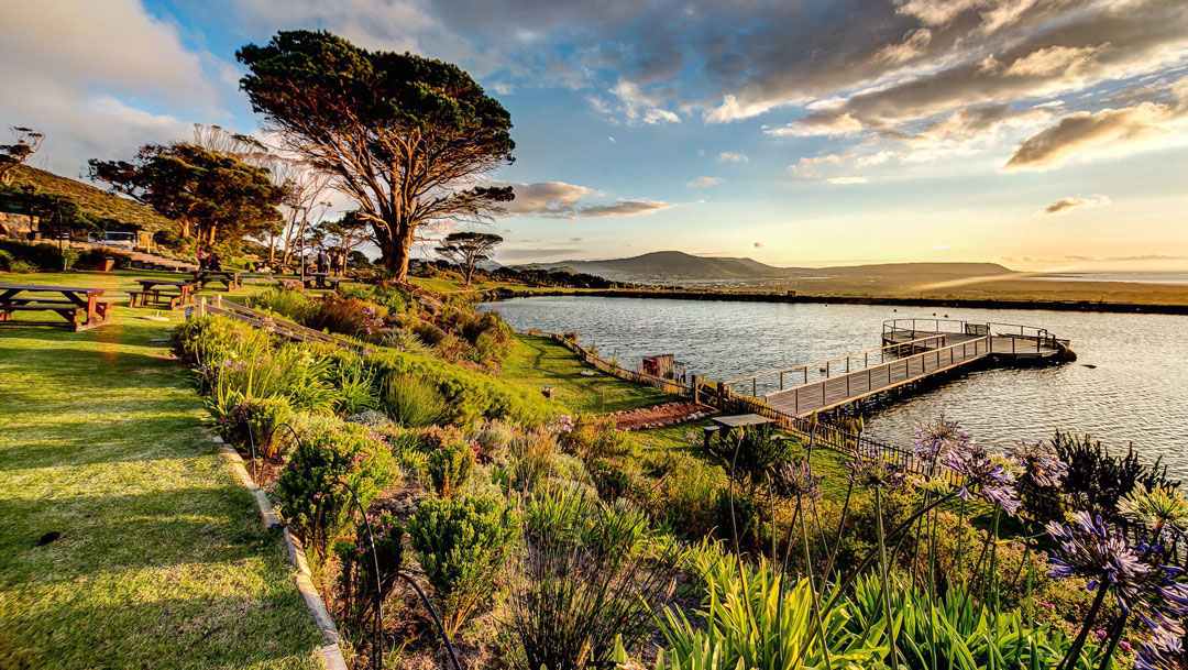 Cape Point Vineyards