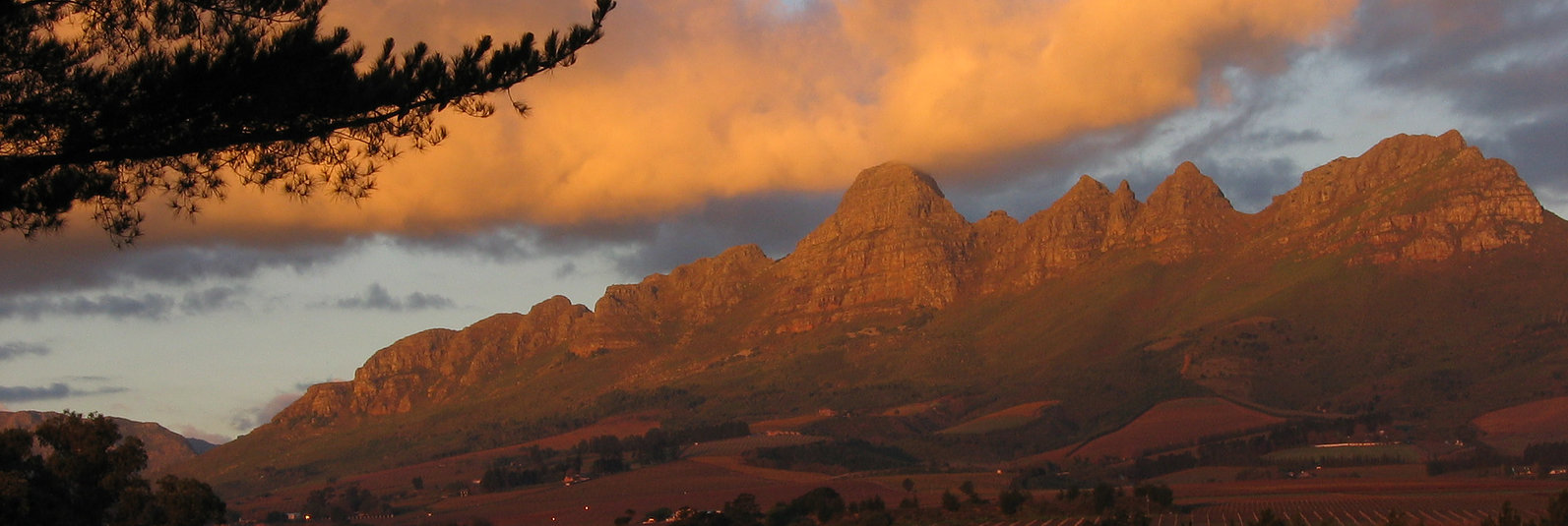 Post House Vineyards