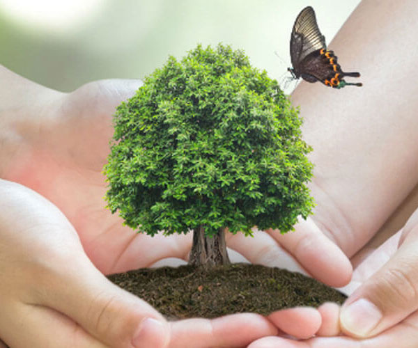 Fairtrade wines from South Africa