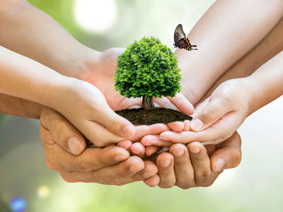 Fairtrade wines from South Africa