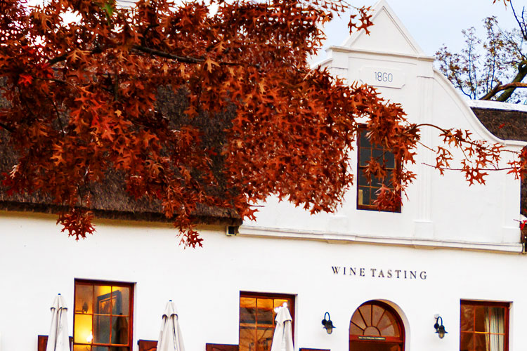 Top 10 Wineries from South Africa