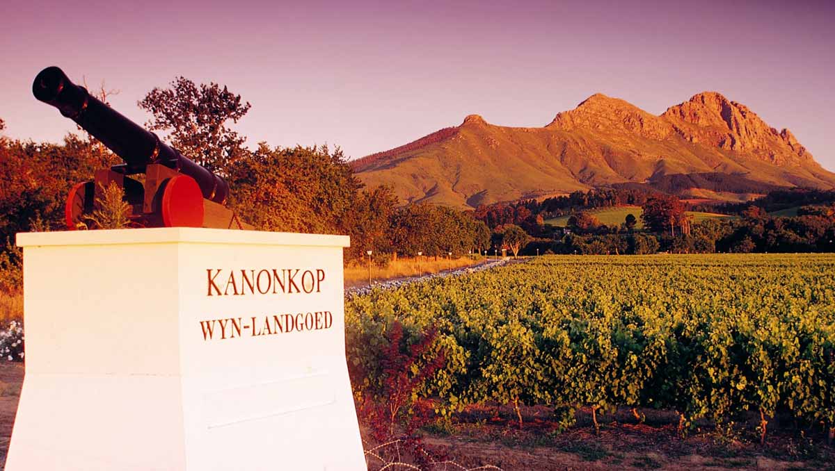 Kanonkop