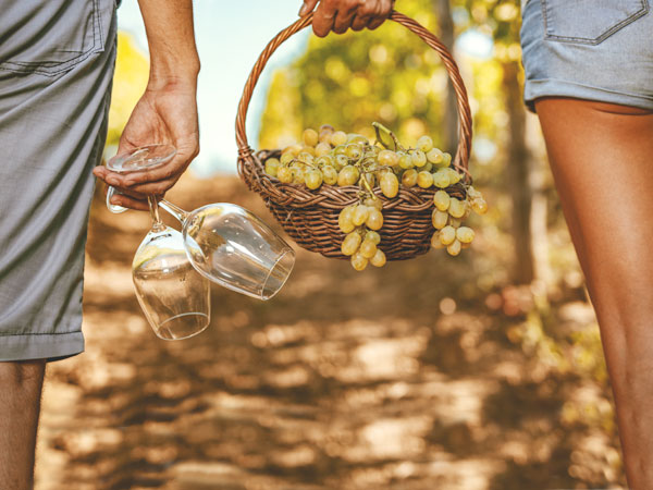 Organic wines from South Africa