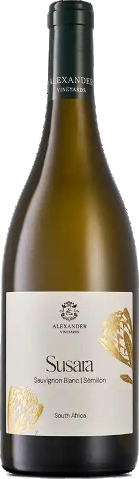 Alexander Susara 2024