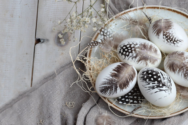 Discover new newsletter offers every week