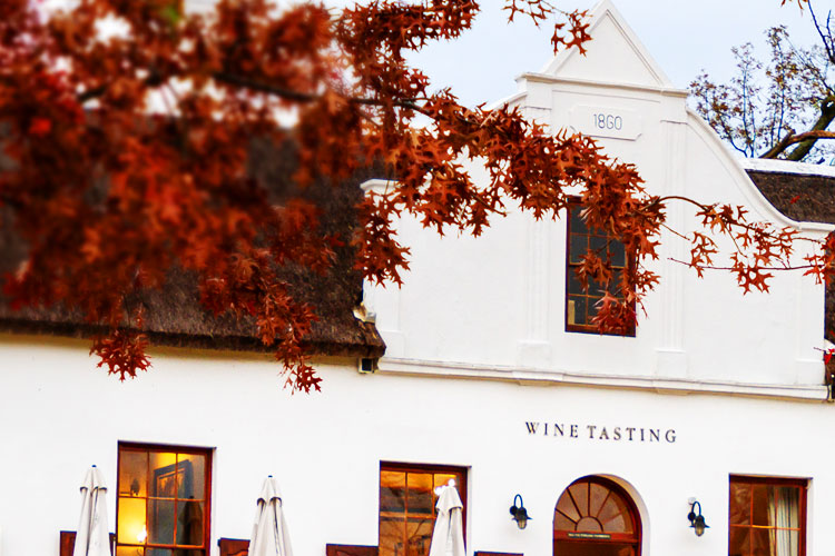 Top 10 Wineries from South Africa