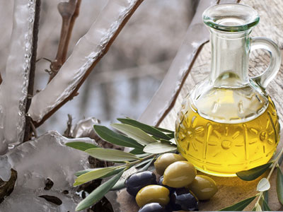 Olive oil from South Africa