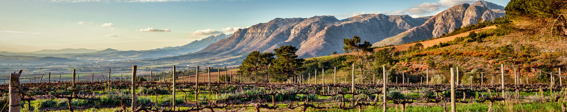 Weinanbauregion Stellenbosch in Südafrika, Landschaftsaufnahme
