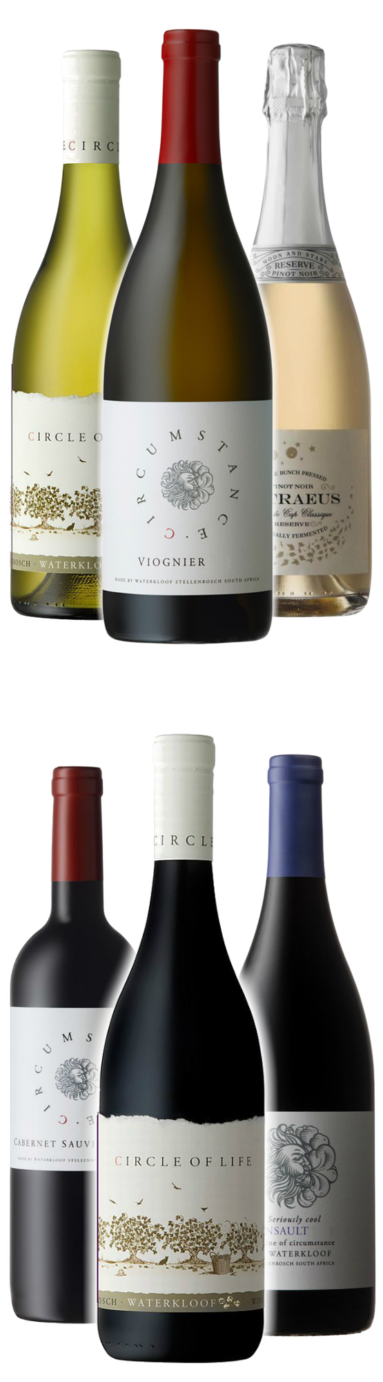Weinreise zu Waterkloof