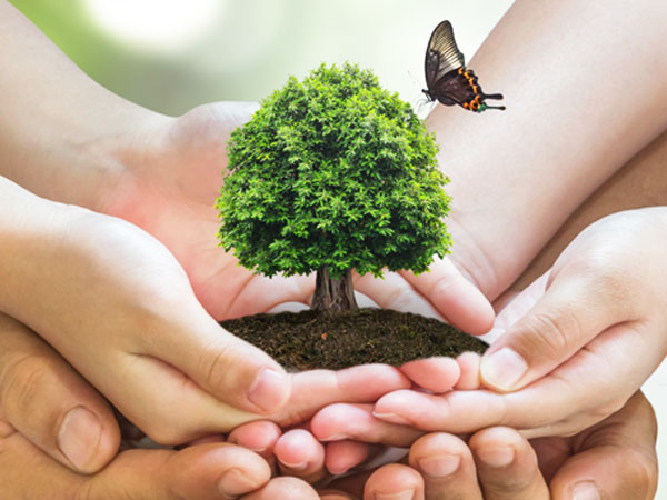 Fairtrade wines from South Africa