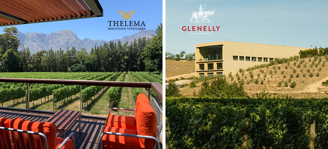 Einladung zum Online Tasting - Weingüter Thelema und Glenelly / Südafrika am 04.12.2025