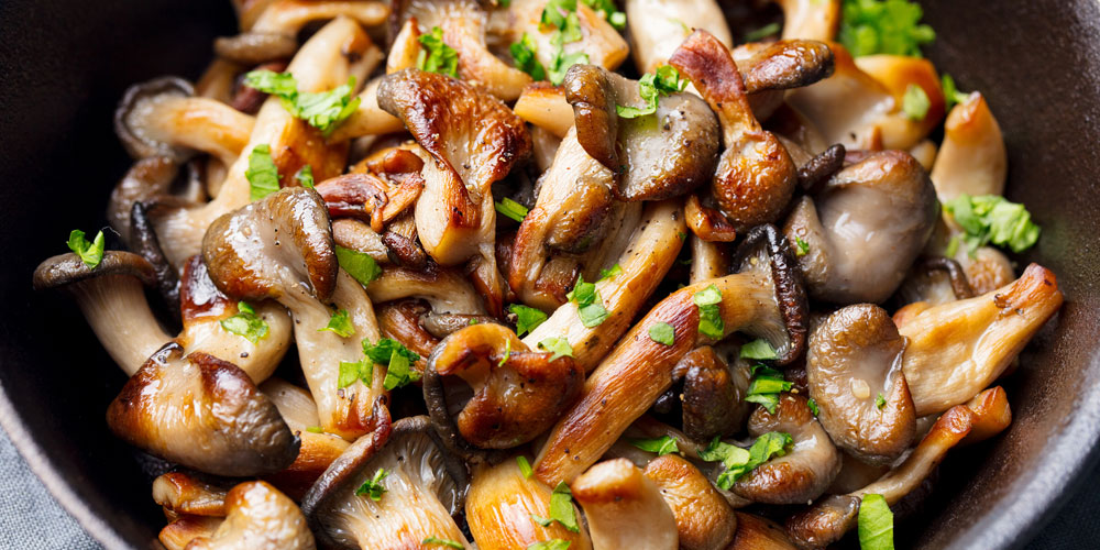 South African wine with mushrooms – discover it now