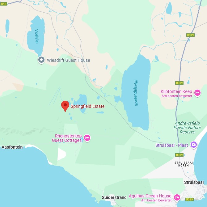 Springfield Estate Map