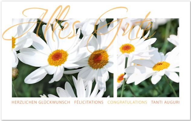 Karte "Alles Gute"
