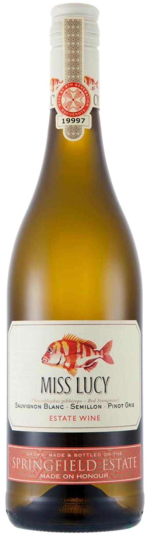 Springfield Miss Lucy 2025