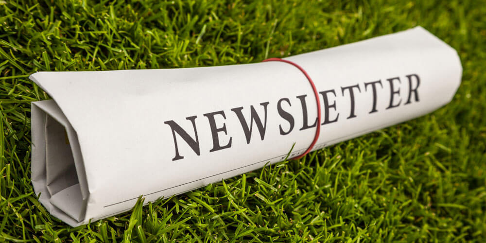 Zeitung beschriftet mit der Headline "Newsletter" liegt zusammengerollt im Gras.
