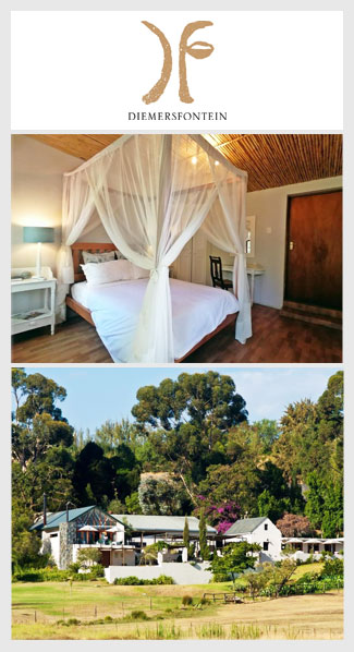 Übernachten auf einem Weingut in Südafrika - Vorstellung des Weingutes Diemersfontein, Region Paarl