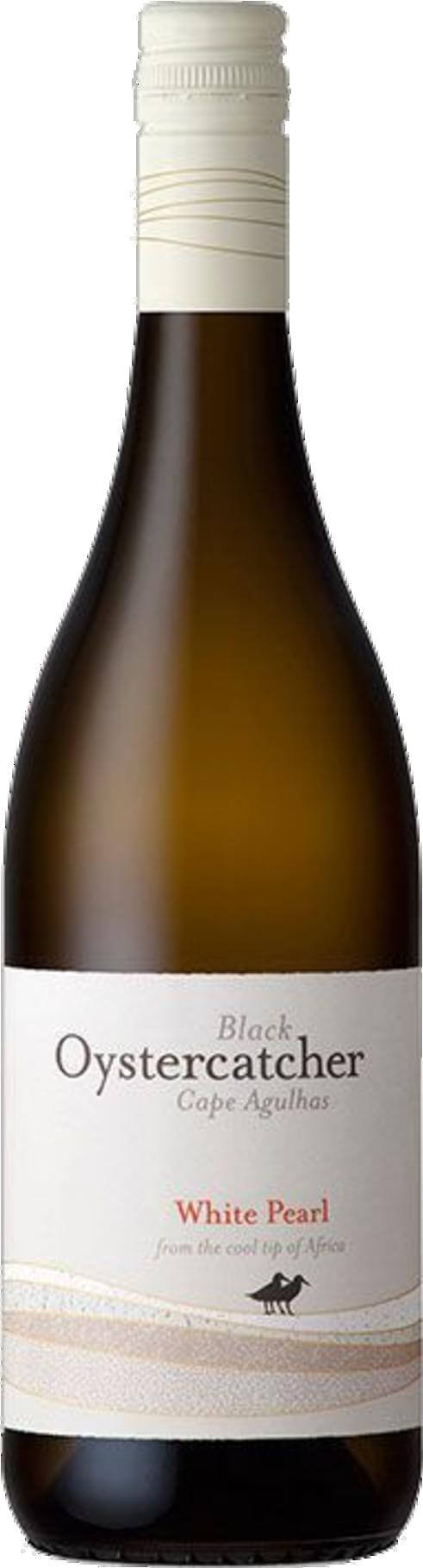 Black Oystercatcher White Pearl 