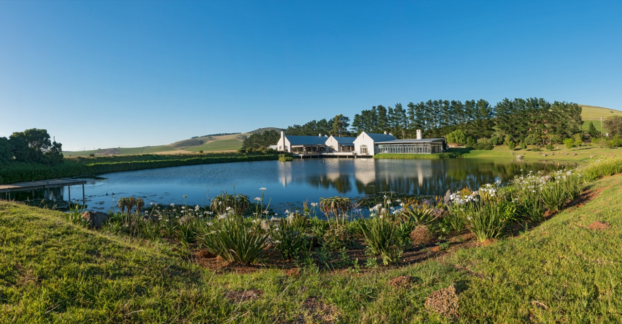 Nitida Cellars