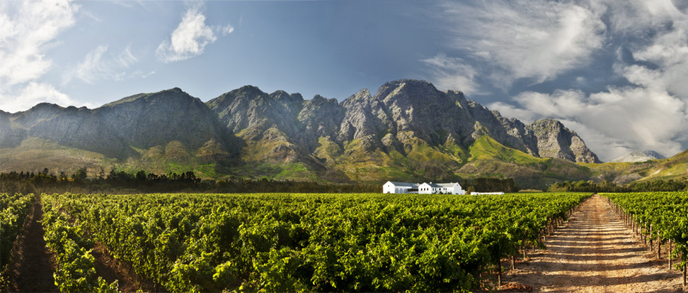boschendal-winery-heritage-versatile-wines-south-africa