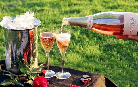 Colmant